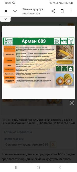 Продам Семена Кукурузы