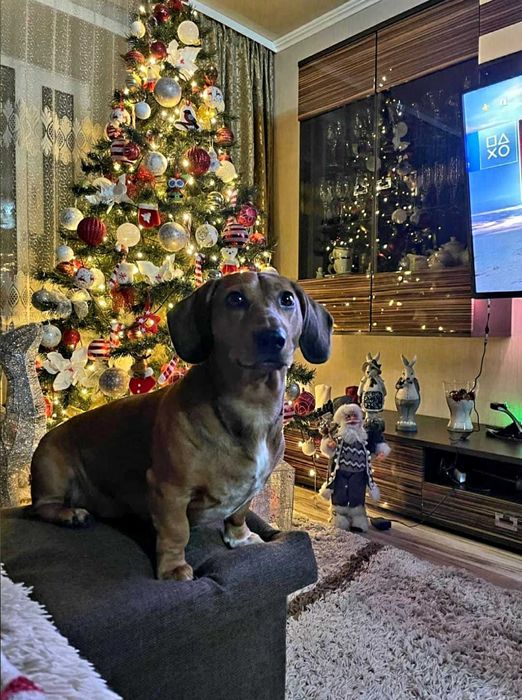 Вязка Кабель такса