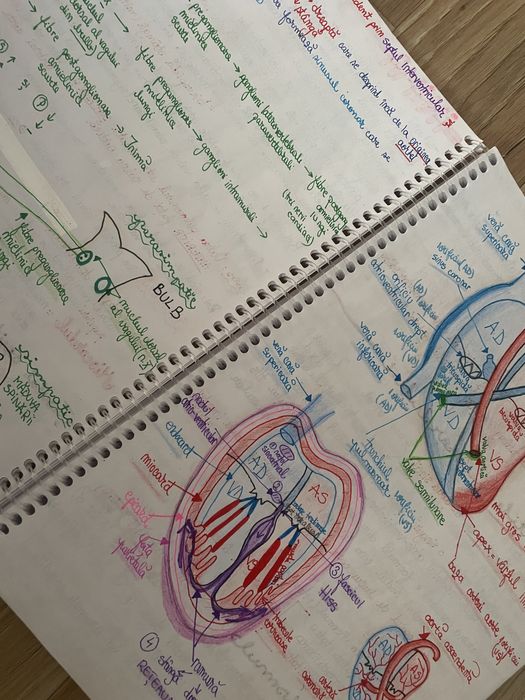 Materiale bac si admitere medicina