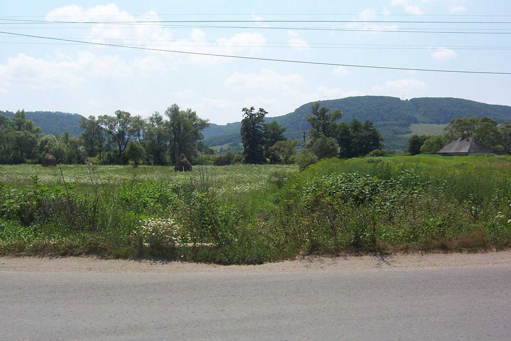 Intravilan Rebreanu. Loc casa Targu Lapus