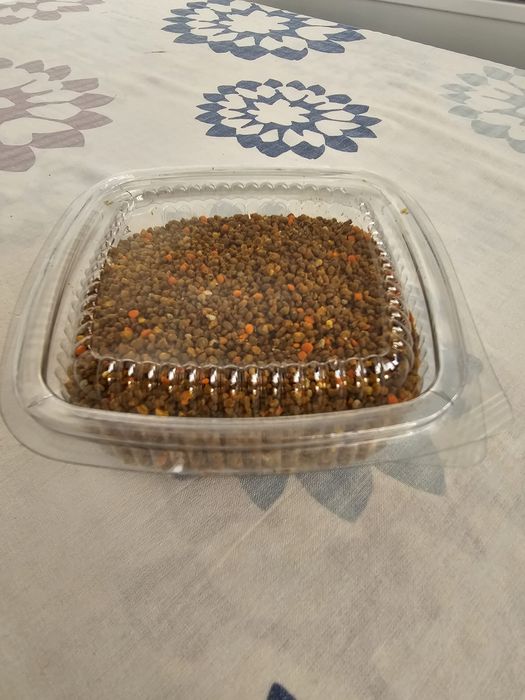 Polen crud de la pomi fructiferi papadie recoltat anul acesta