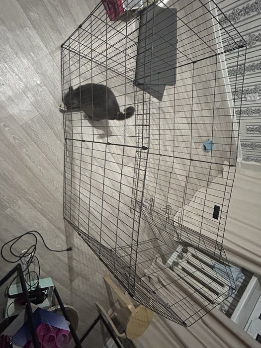 Вольер для животных