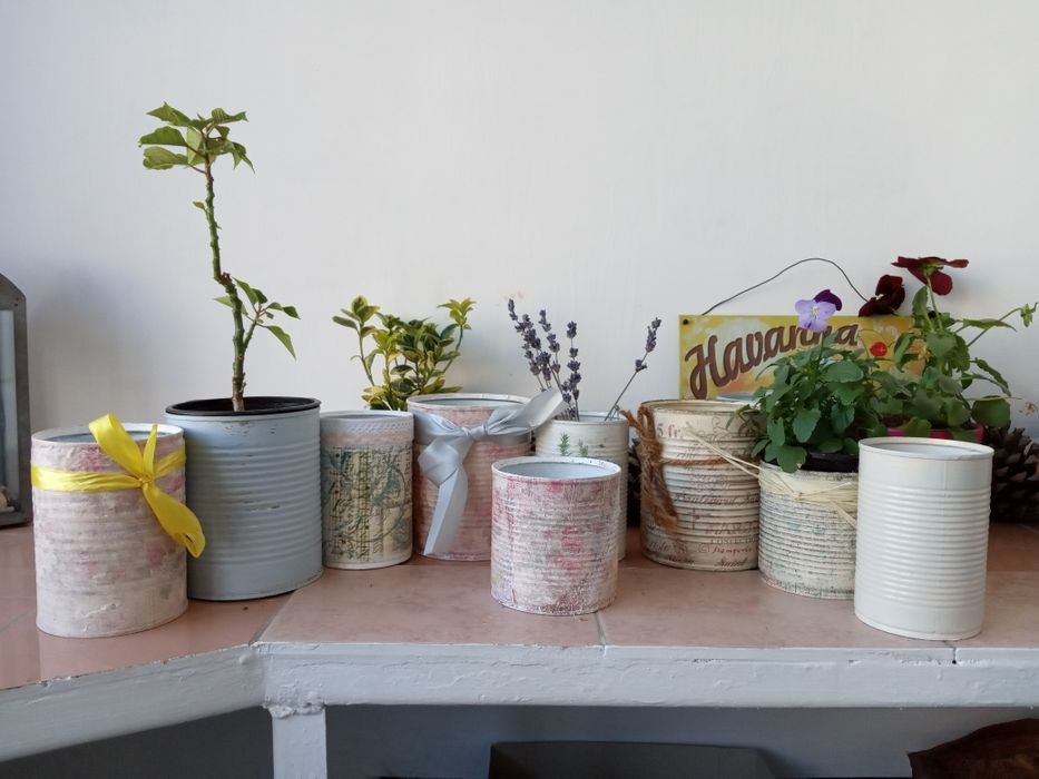 Кухненски буркани декоративна саксия