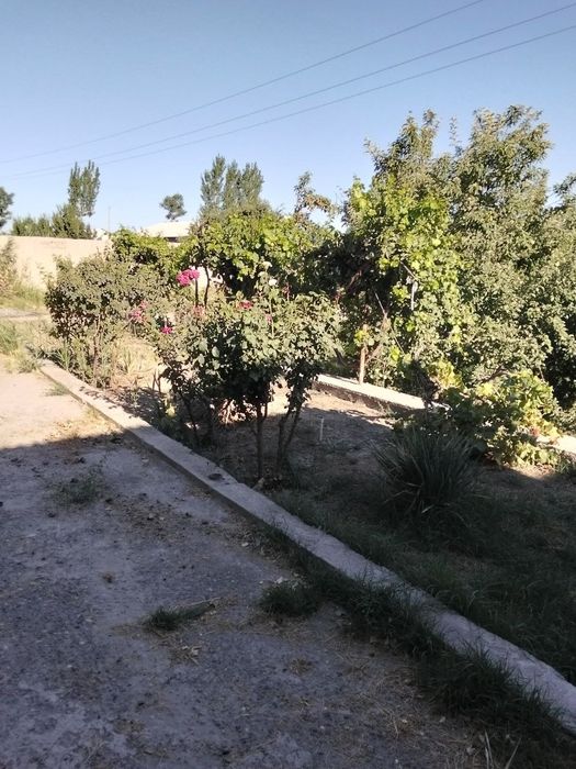 Kogon tumani Qalqon qishlogʻida 15 soʻtiqli Uchastka sotiladi