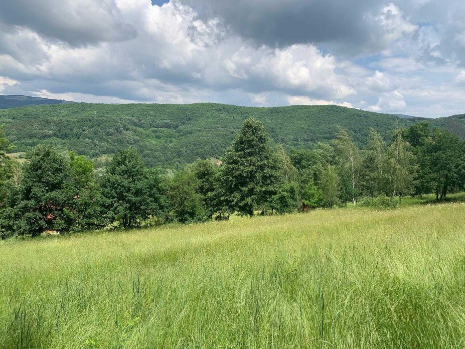 Teren vanzare INTRAVILAN, 7800 mp, Poiana Ampoiului, ZONA TURISTICA