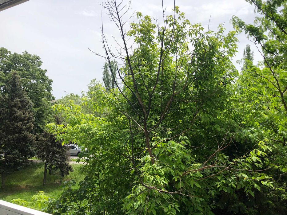 Продава се Тристаен апартамент в Русе, Здравец Север 1 - 80 кв.м за 1150 €/кв.м - Снимка #8