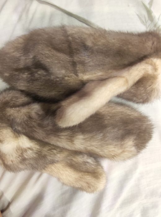 Песцовые варежки