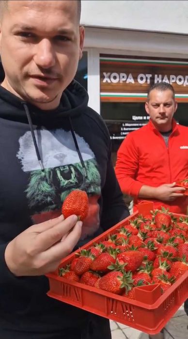 Разсад ягоди "Клери"