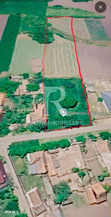 Teren intravilan 6.514mp | 39m front stradal | Ciocaia, Săcuieni