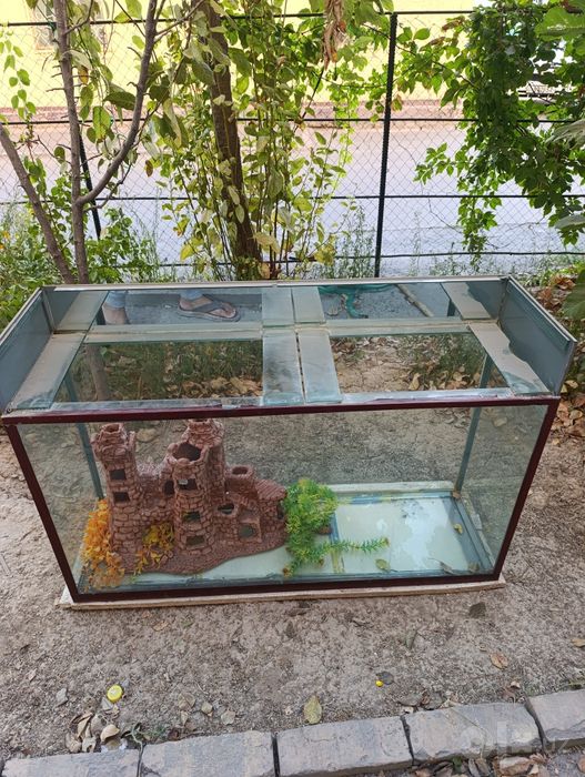 Akvarium sotiladi