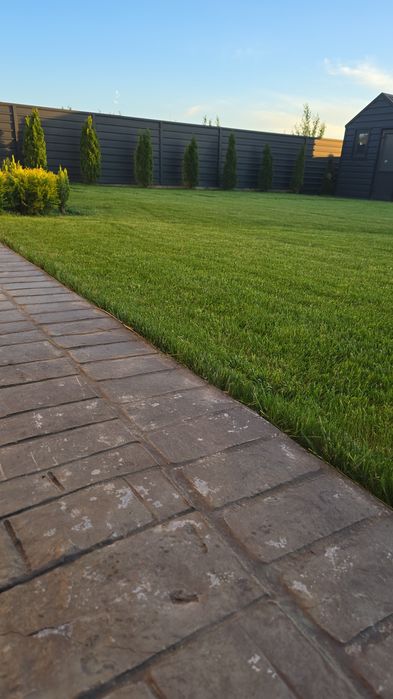 Amenajare/tuns/intretinere spatiu verde