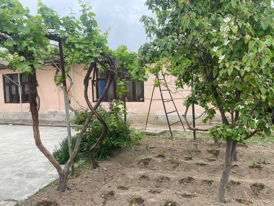 Hovli. Uchastka. Участка