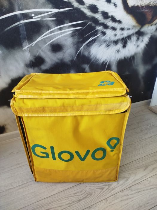 Термо сумка глово