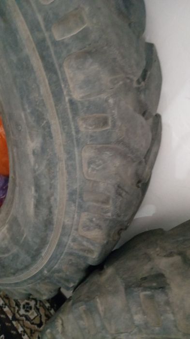 Покрышки трактора