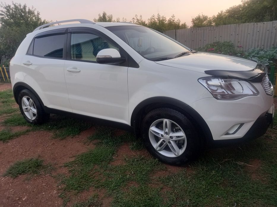 Санг енг нев актион