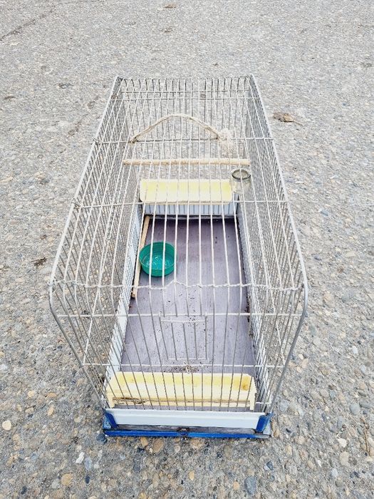 Qafas sotiladi holati yaxshi