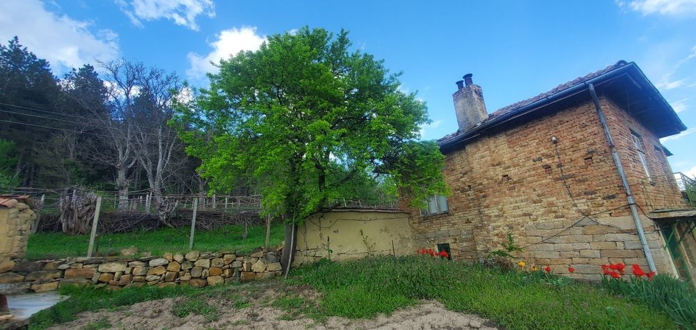 Продава се Къща в с. Янково, Област Шумен - 1500 кв.м за 11 €/кв.м - Снимка #23