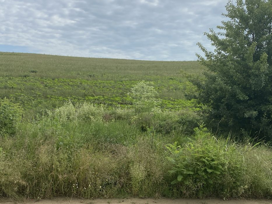 Продава се Земеделски имот в с. Старо Оряхово, Област Варна -  кв.м за 3549 €/дка - Снимка #10