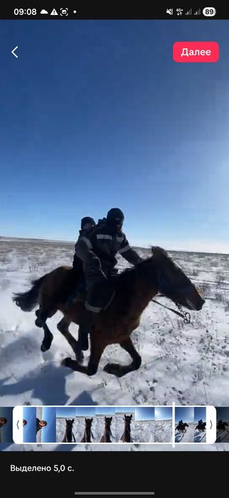 Байтал 2 жасар ұрғашы