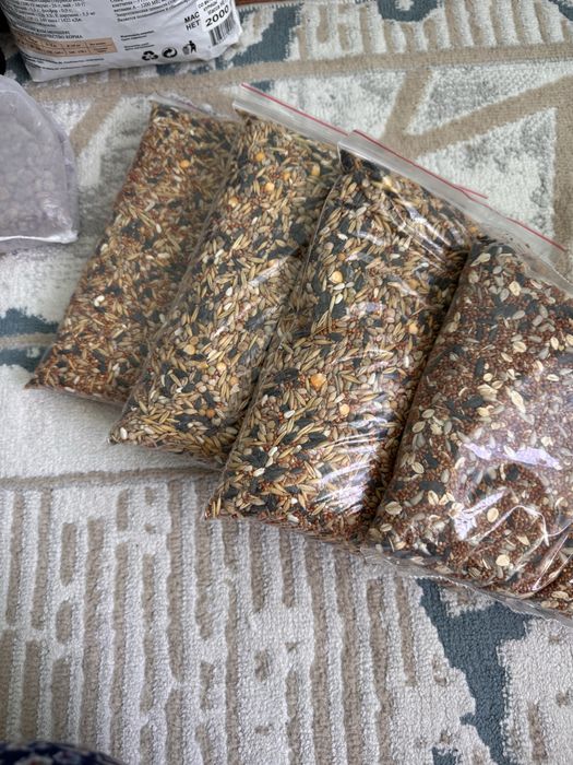 Продам попугаайй