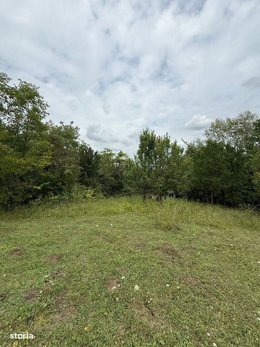 Poiana Câmpina - teren intravilan 3429mp - 50000 Euro