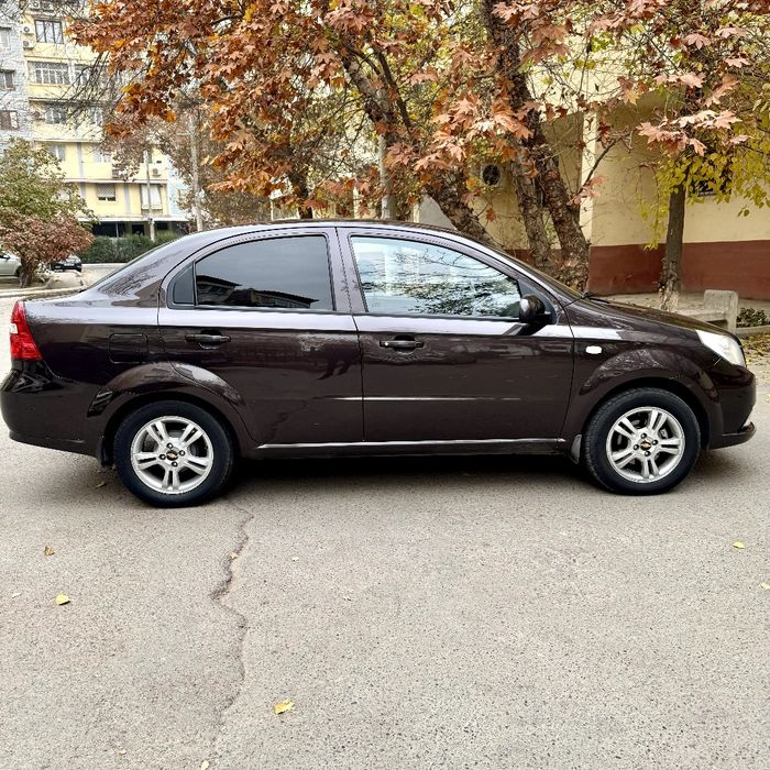 Некса3 Чоко холати тину