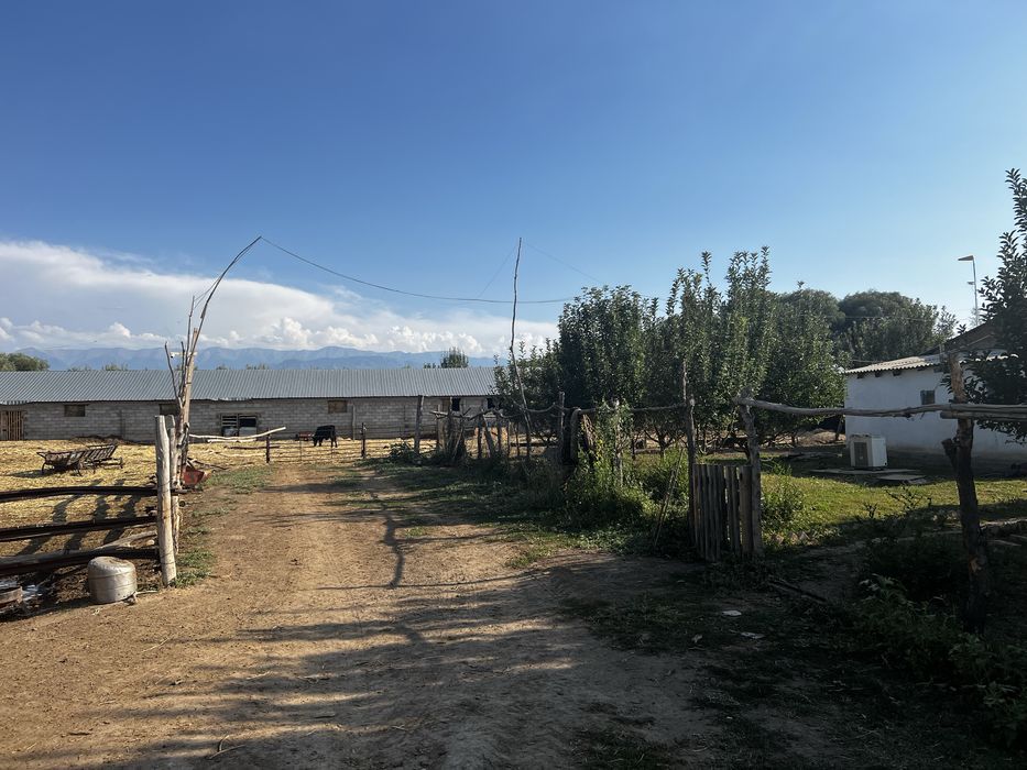 Продается Крестьянское хозяйство