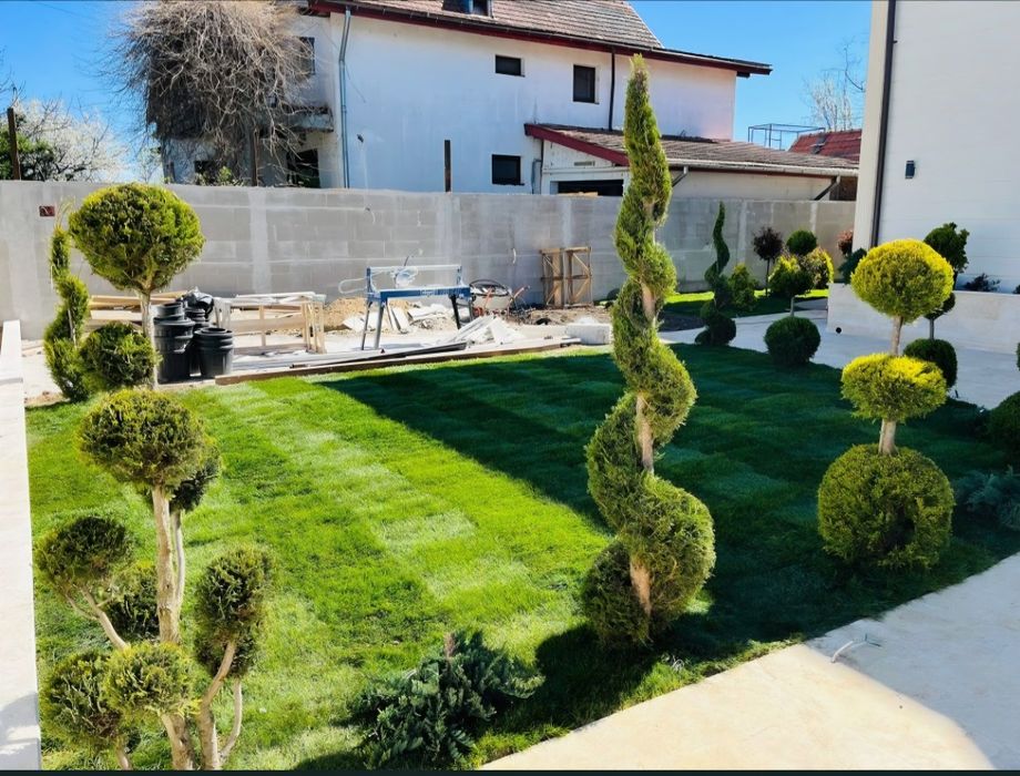 Gazon rulou la un super pret