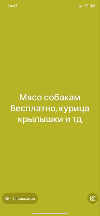 Бесплатно собакам без запаха в Каскелене