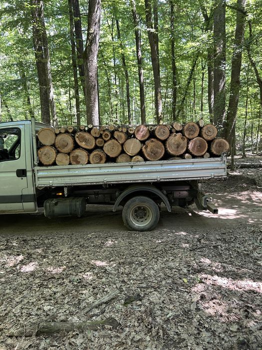 Lemn de foc esenta tare