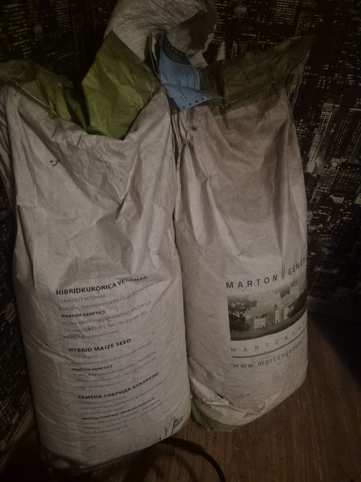 Кукуруза Венгерская