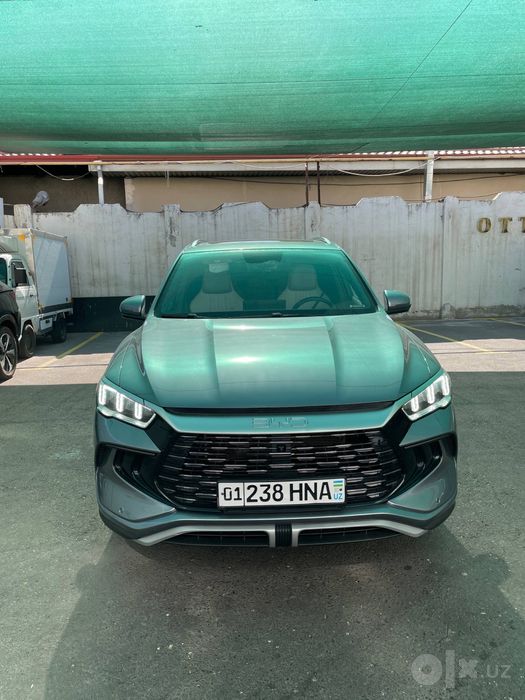 Byd song pro 2024