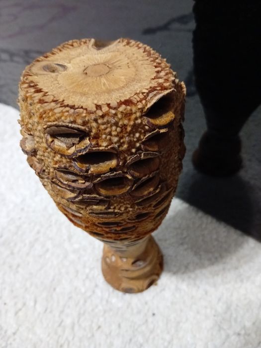 Vaza veche banksia