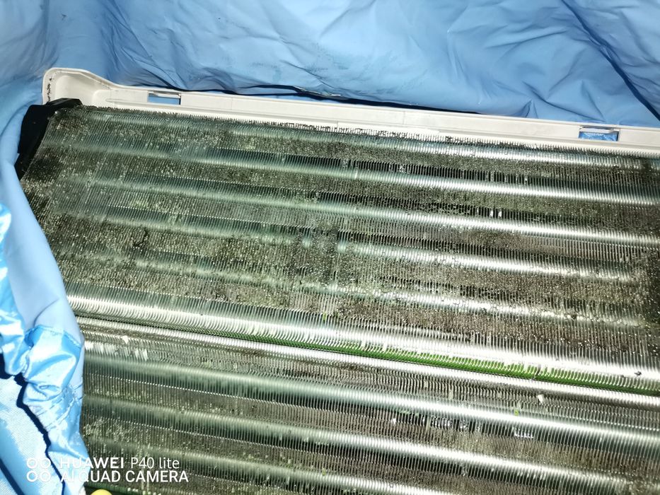 Професионално почистване/Professional cleaning