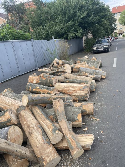 ‼️Lemne de foc calitate superioară‼️