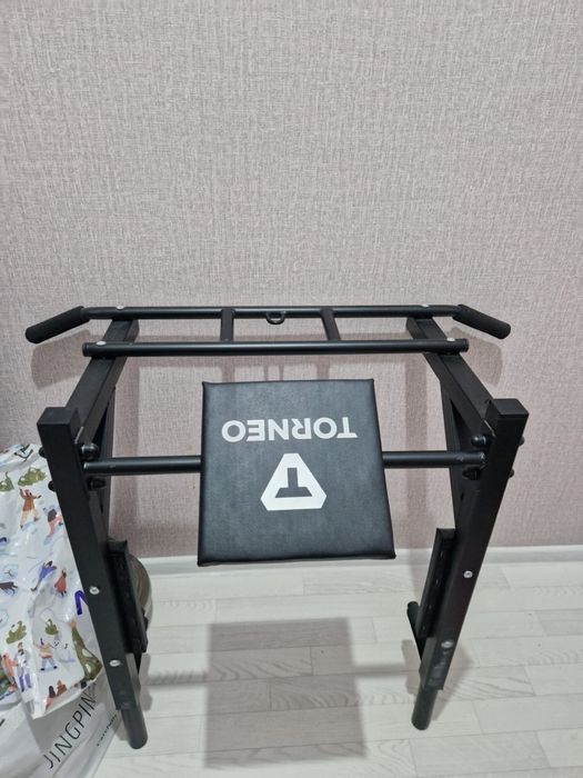 Турник настенный Torneo