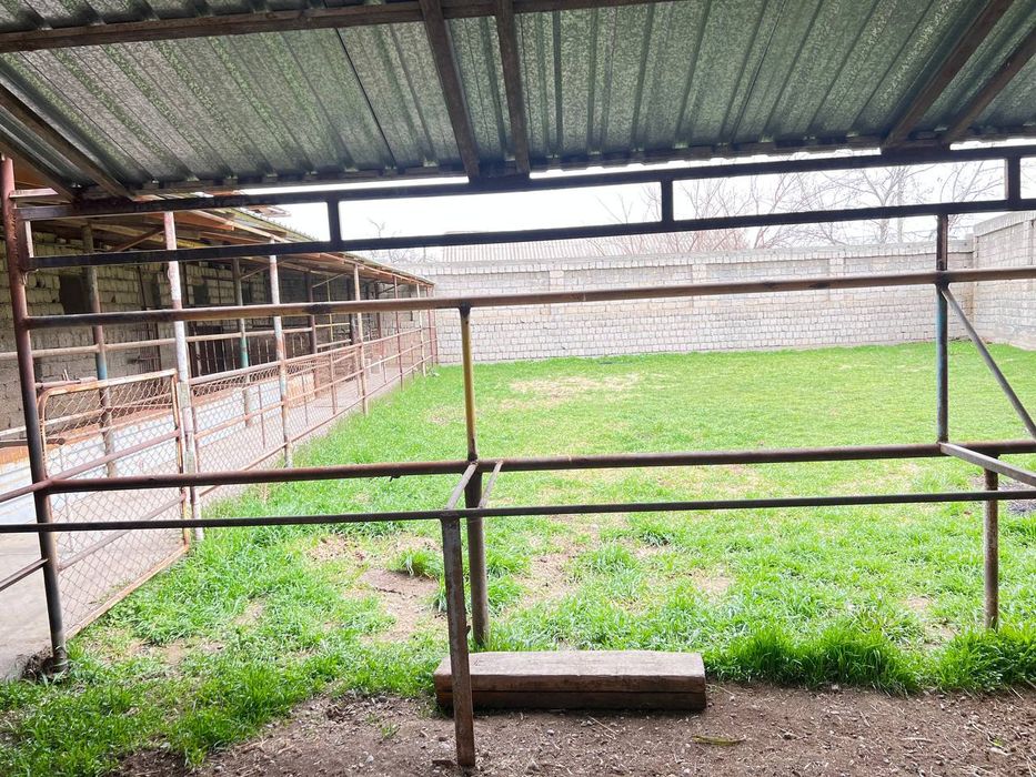 Яшнабод тузелда Эски аргин