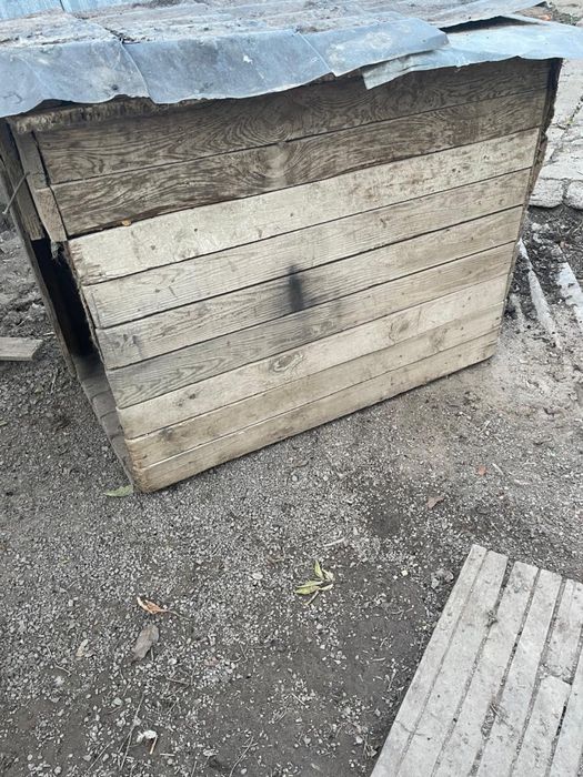 Будка для собаки в нормальном состоянии