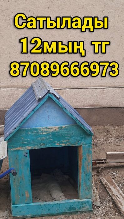 Иттің күркесі сатылады