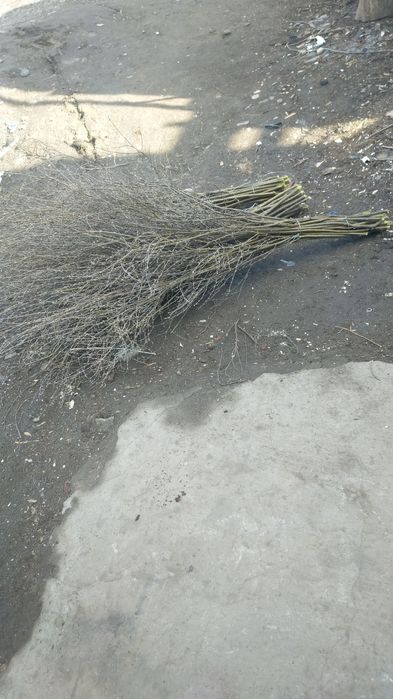 Веники самодельные