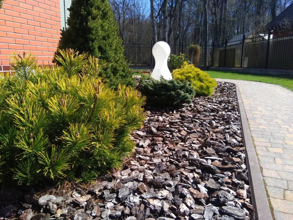 Озеленение под ключ