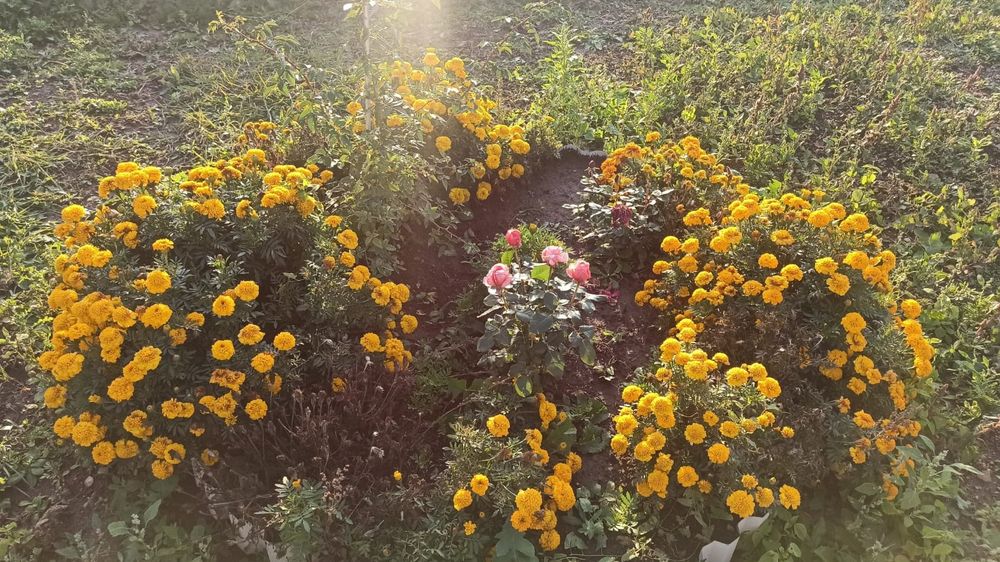 Дача на Фёдоровка