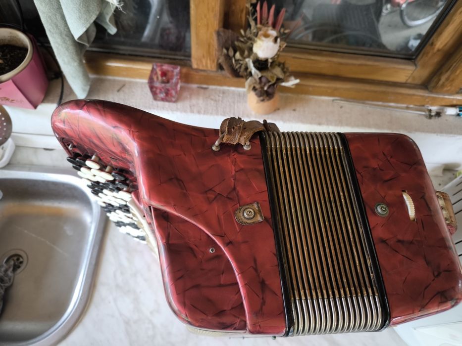 Barcarole  professional 120 bași