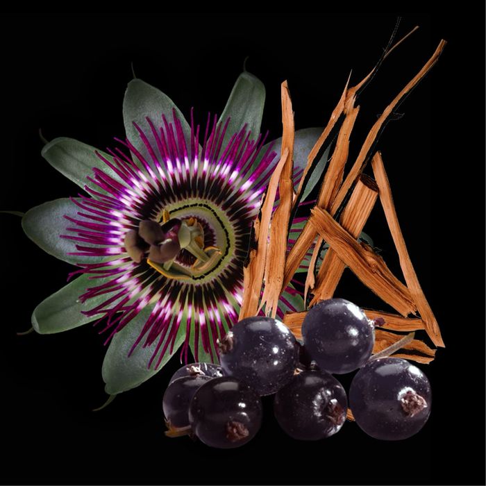 Парфюм Magnetista