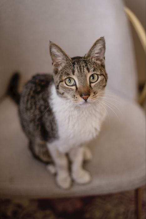 Тоби в поисках дома , Ташкент!