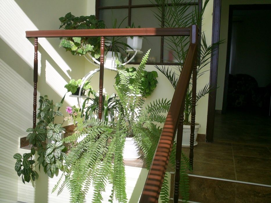 Продава се Къща в Пловдив, Въстанически - 200 кв.м за 333 €/кв.м - Снимка #4