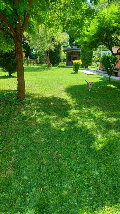 Inchiriem cabana la munte. 20km Alba Iulia-Apuseni