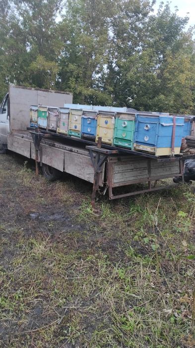 Продам улья для пчел