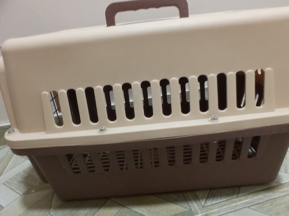 Животные переноска и всё для кошек