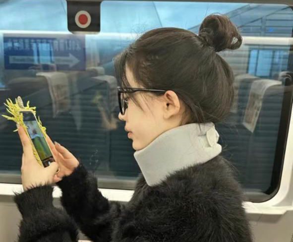 Воротник Шанца бандаж